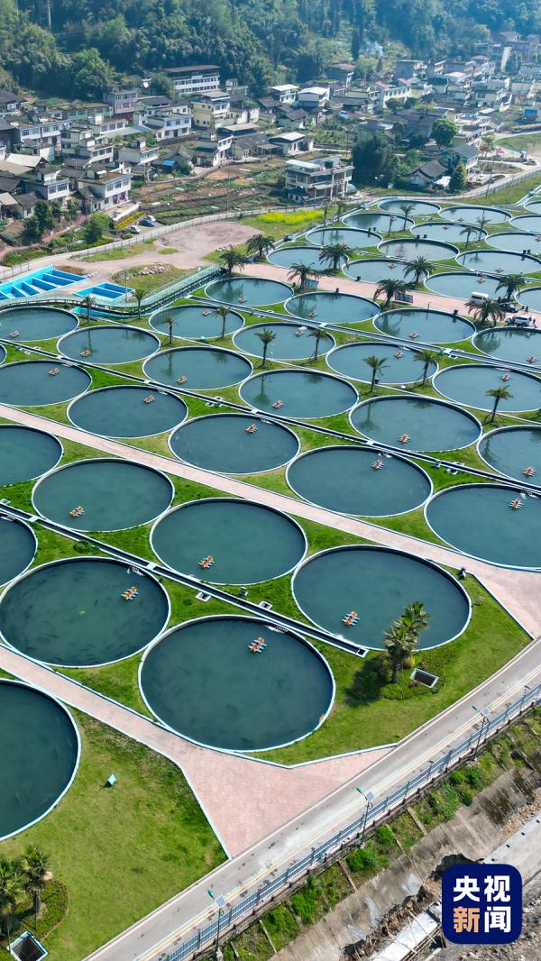 “我的家乡特产,难道特地瞒着我产?”