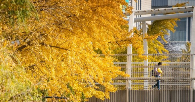 大雾预警解除!今日冷空气南下除霾扫雾,济南最高气温降至3℃