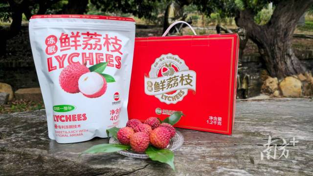 冻眠荔枝。受访者供图