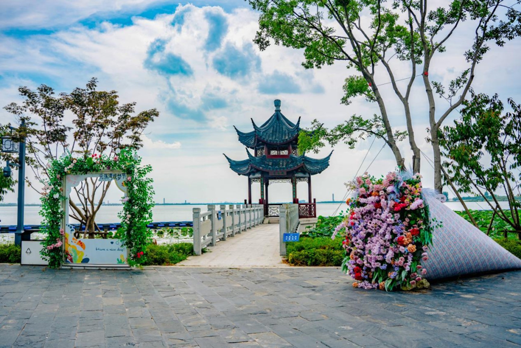 秋日“沪”水游丨青浦，江南秋日胜春朝