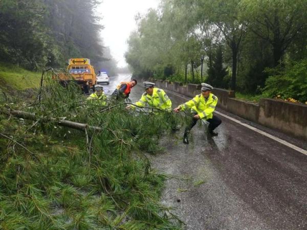 雨雨雨雨雨还在持续,宝鸡局部地区还有大雨或暴雨,出行请注意安全!