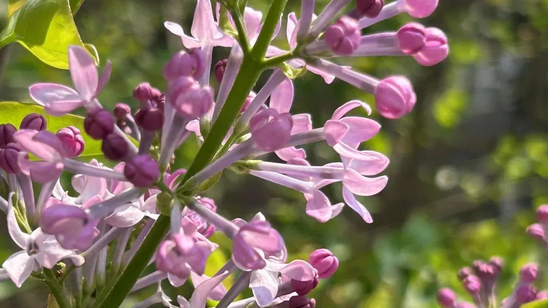 西安气象:今日最高气温突破35℃ 明后两天热力持续