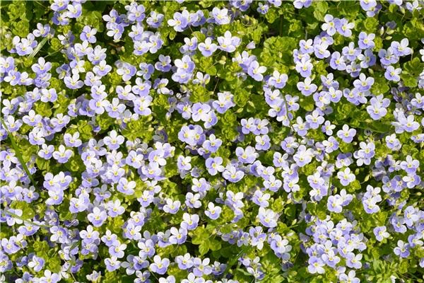 0571是哪的区号，0571哪里的区号?