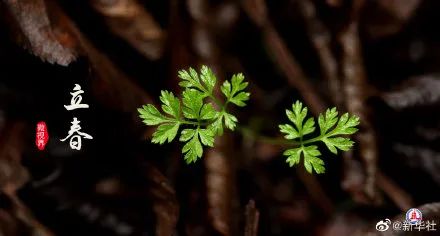 就在明天,正式进入!陕西发布重要天气报告,局地暴雪!