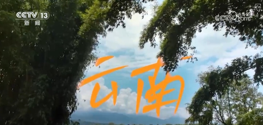 开盲盒!这些国货之光含“滇”量高!