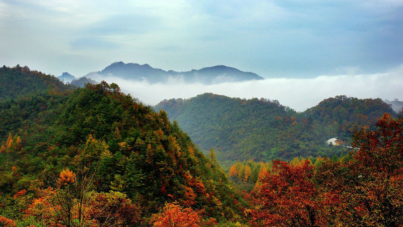 陕西这7个美爆的景区五一免费了！（附出行攻略）