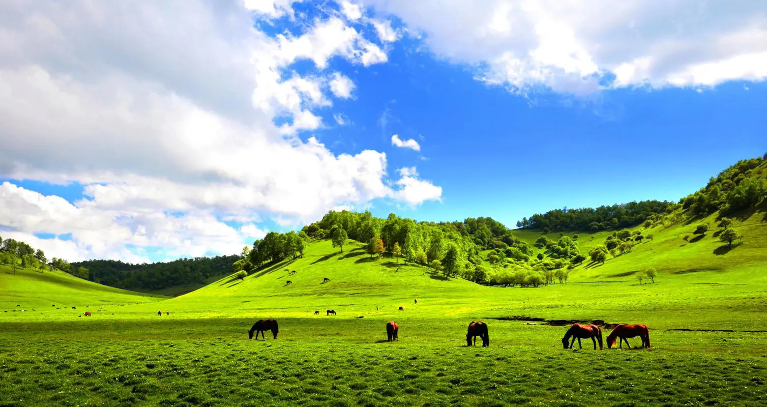 宝鸡旅游必去景点推荐 宝鸡一日游最佳景点