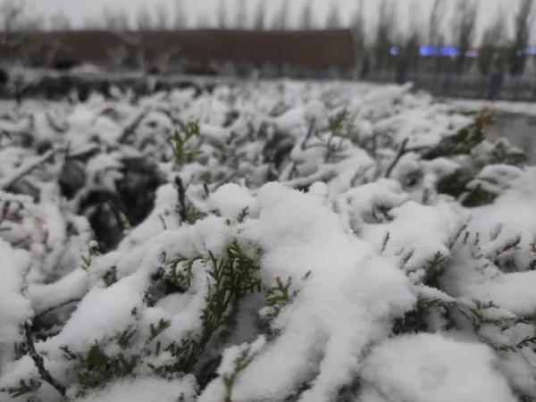 陕西发布最新预报:大雪,局地暴雪!