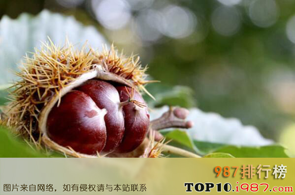 十大天津知名特产之天津板栗