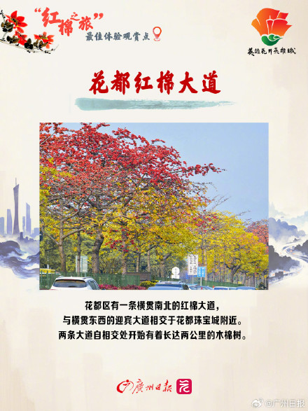 3月的广州被木棉花刷屏了，推荐这10个绝美打卡地
