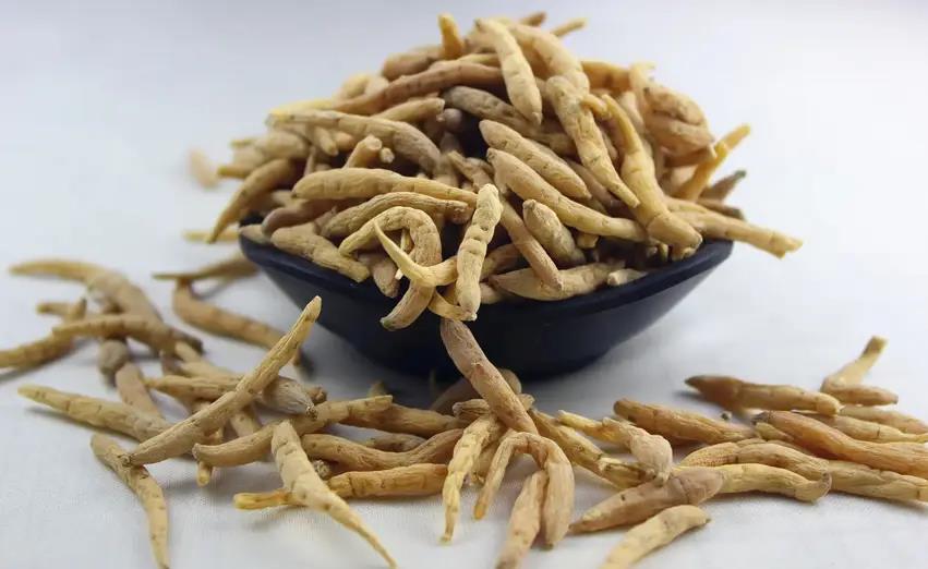 福建十大土特产排名推荐,送礼倍有面!