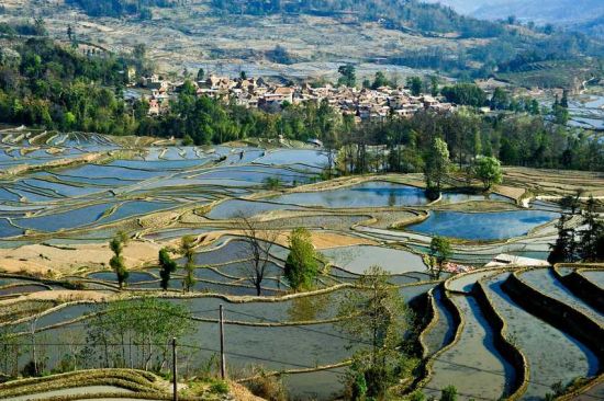 红河哈尼梯田(图:微图)