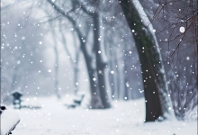 2月8日山东未来三天天气预报 气温再创新低积雪深达16厘米