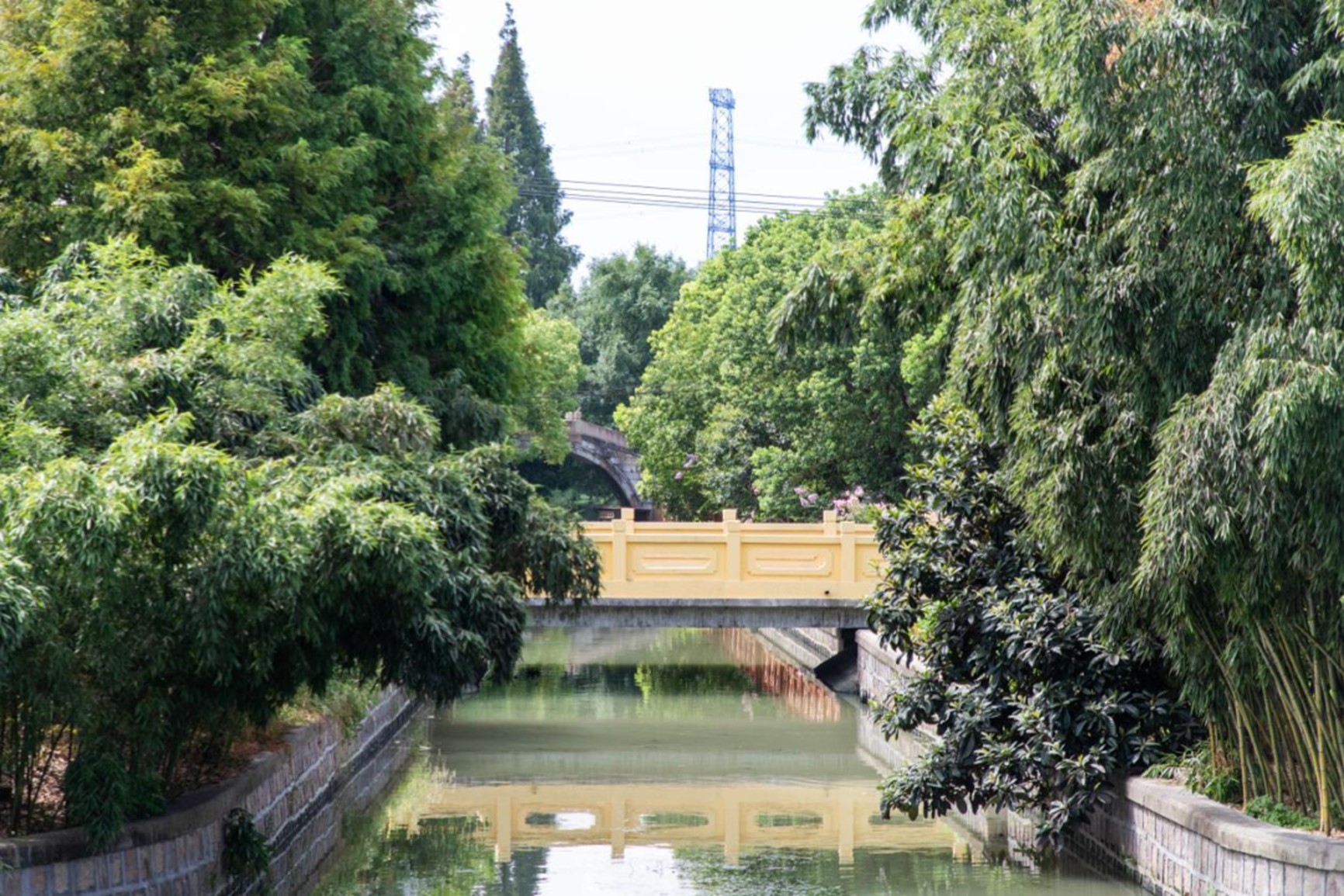 秋日“沪”水游丨青浦，江南秋日胜春朝