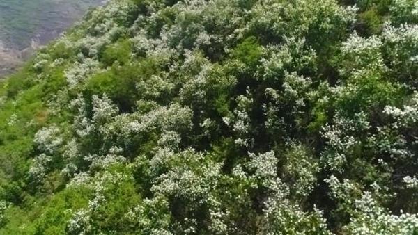 4月21日 渭南文化旅游资讯微报(组图)