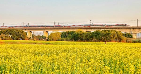 今日停暖!河南多地发布公告