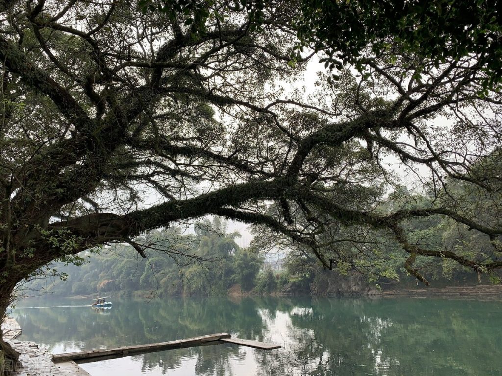 柳州旅游攻略必玩的景点(柳州旅游必去十大景点)