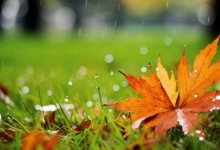 四川国庆假期降雨频繁 明后天盆地局部有暴雨到大暴雨