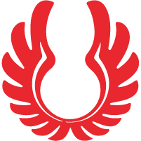 Wings Air Logo Images