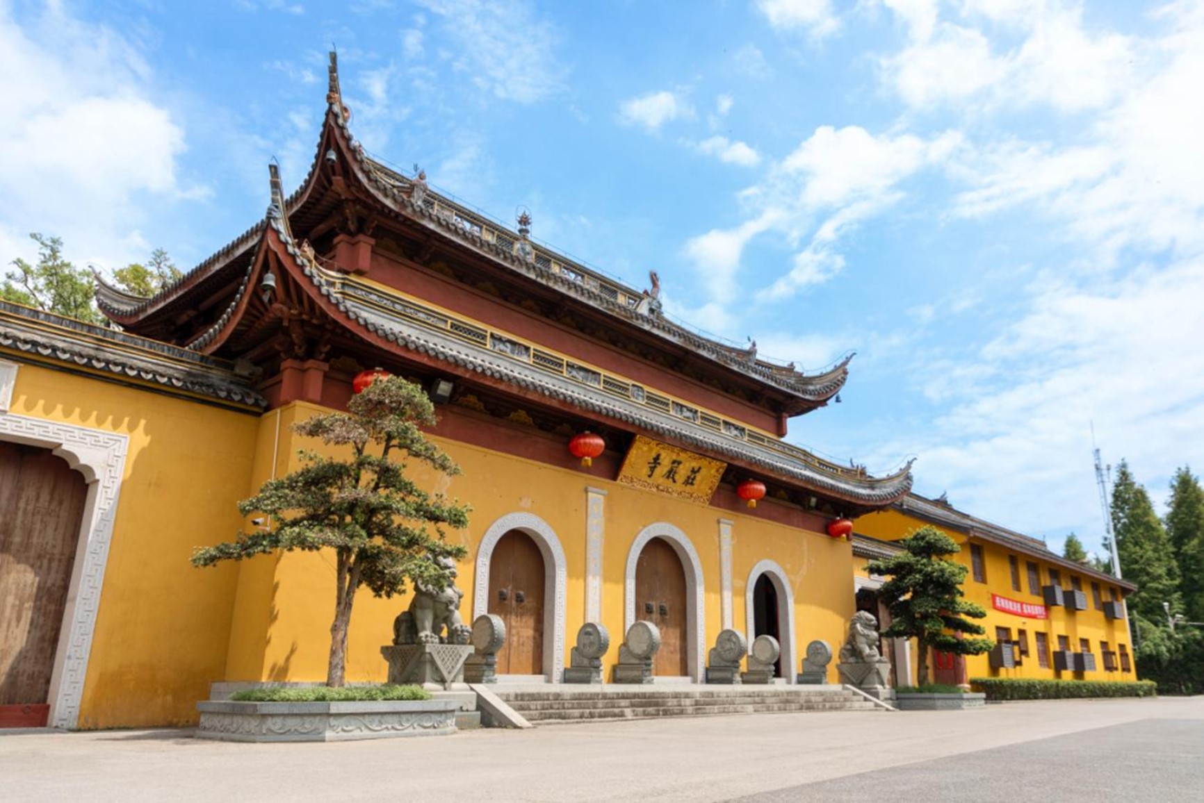 秋日“沪”水游丨青浦，江南秋日胜春朝