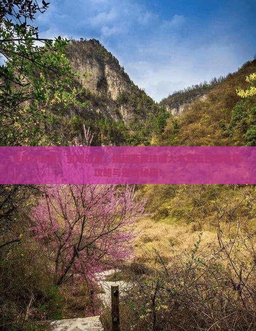 宝鸡去西藏珠峰大本营五日游