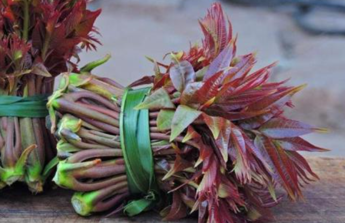 桑镇大通坊香椿