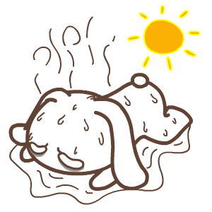 37℃、37℃、38℃!西安下次降水在→