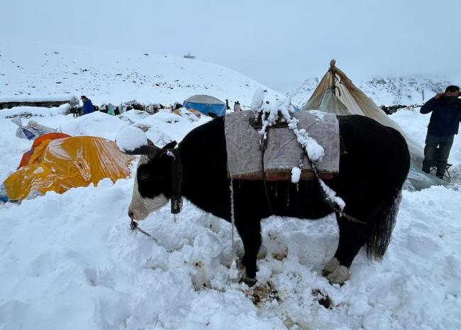 亲历珠峰暴雪游客：全身结冰 很恐怖 暴雪压垮帐篷引发关注