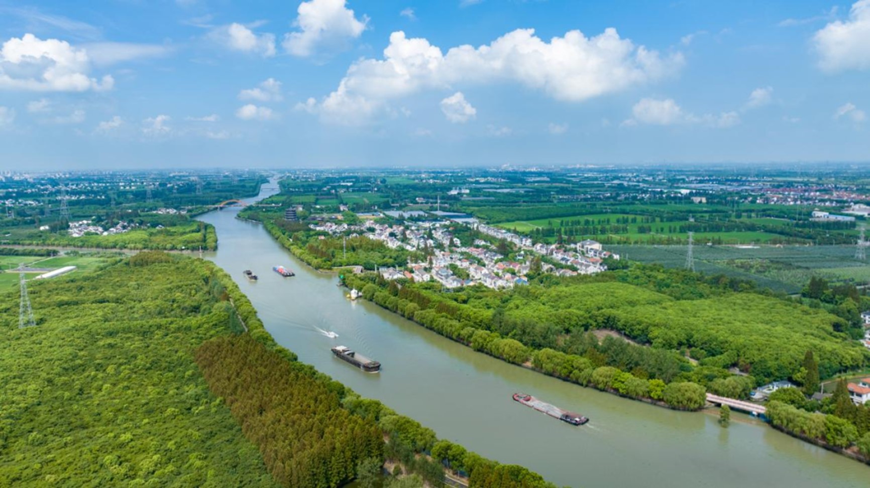秋日“沪”水游丨青浦，江南秋日胜春朝