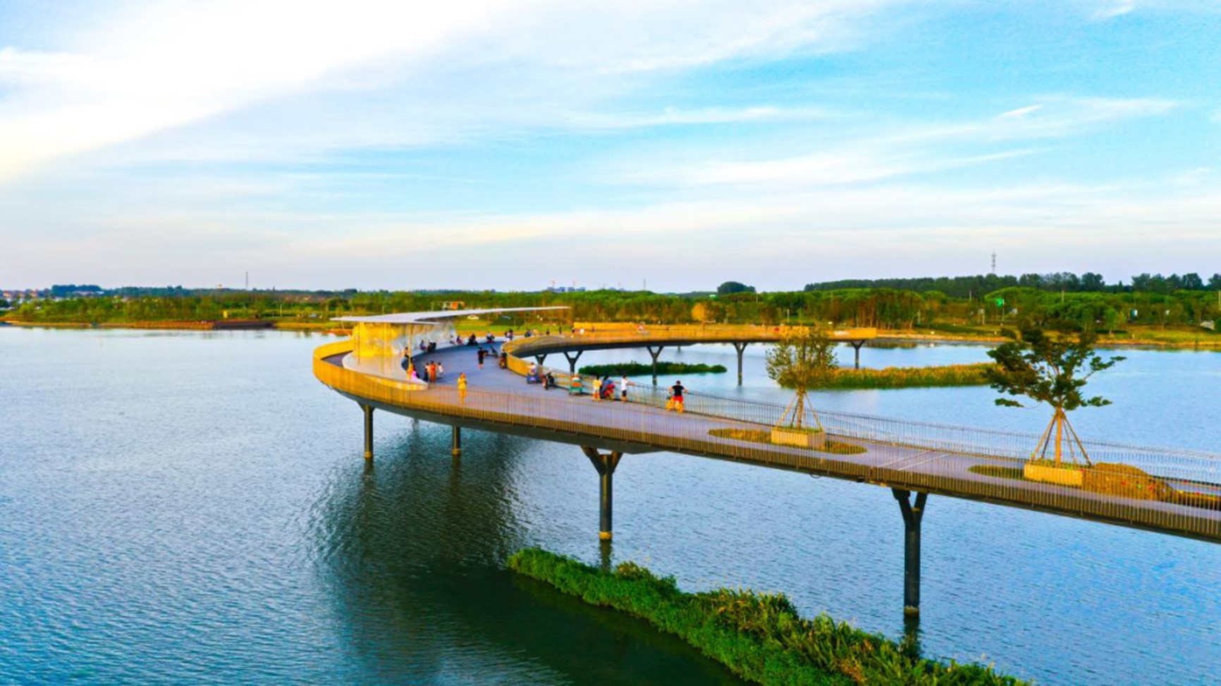 秋日“沪”水游丨青浦，江南秋日胜春朝