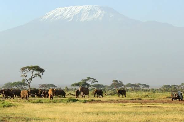 怀化市清明旅游景点，怀化市清明旅游景点有哪些