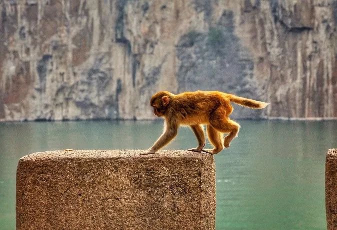 2023重庆奉节旅游景点攻略(地点 门票 路线)