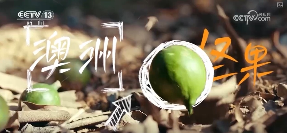 开盲盒!这些国货之光含“滇”量高!