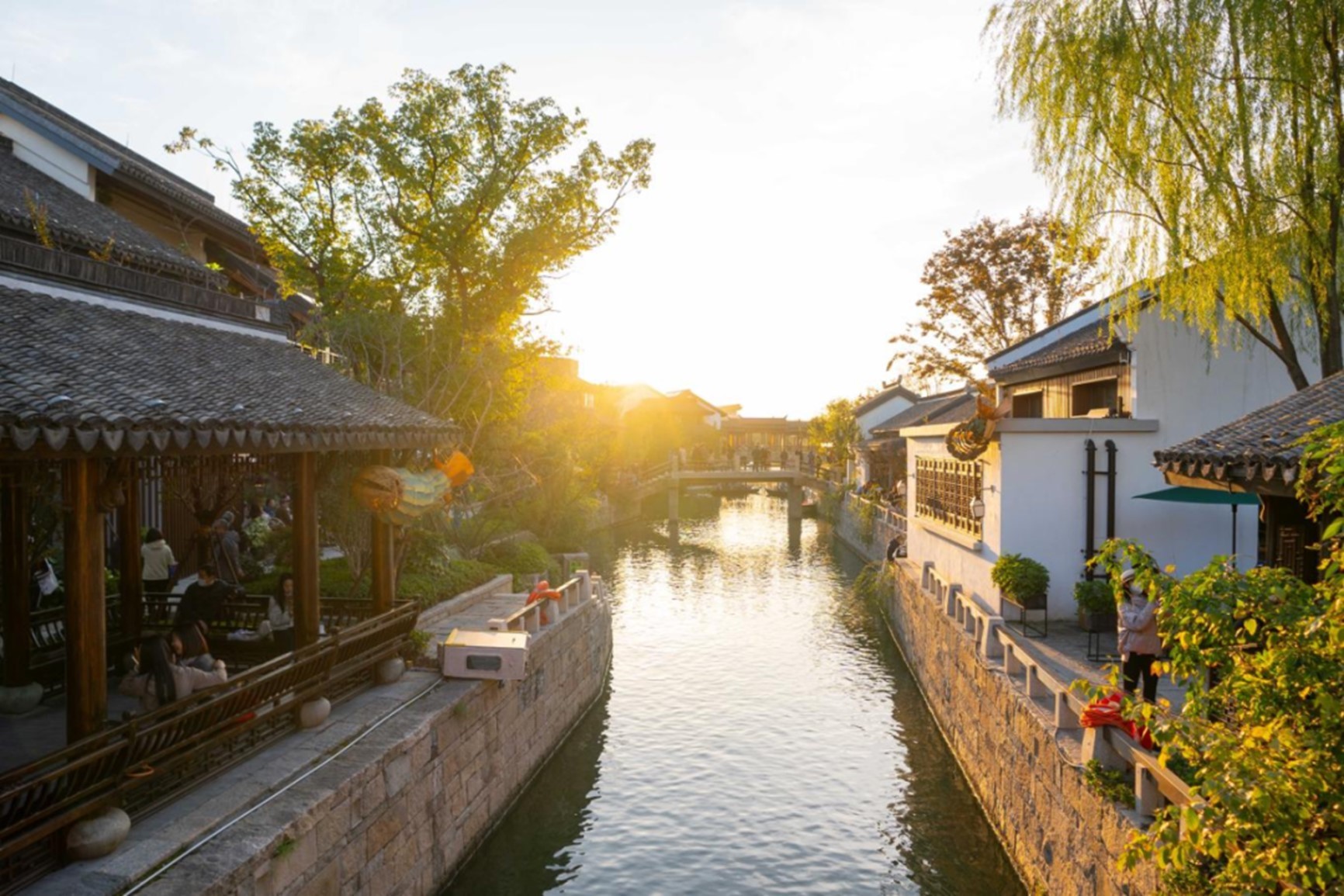 秋日“沪”水游丨青浦，江南秋日胜春朝