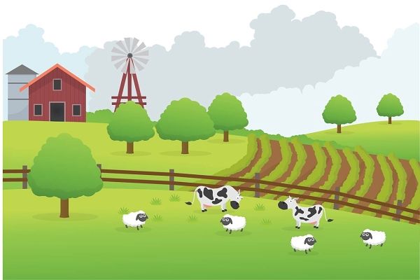 包含常德是哪个省的词条