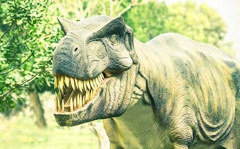 常州恐龙园一日游作文(精选28篇)