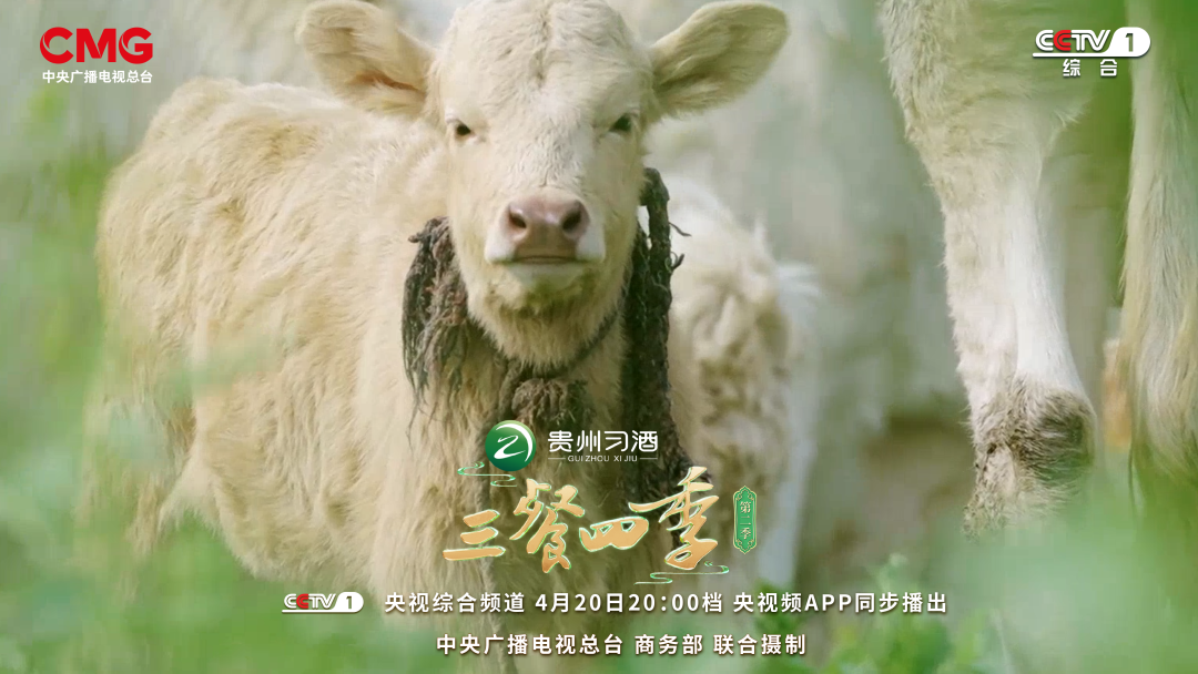 《三餐四季》河南篇：中原之上，解锁最“中”的味道