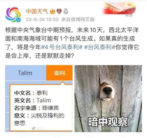 持续40天！今年最热的日子即将到来？