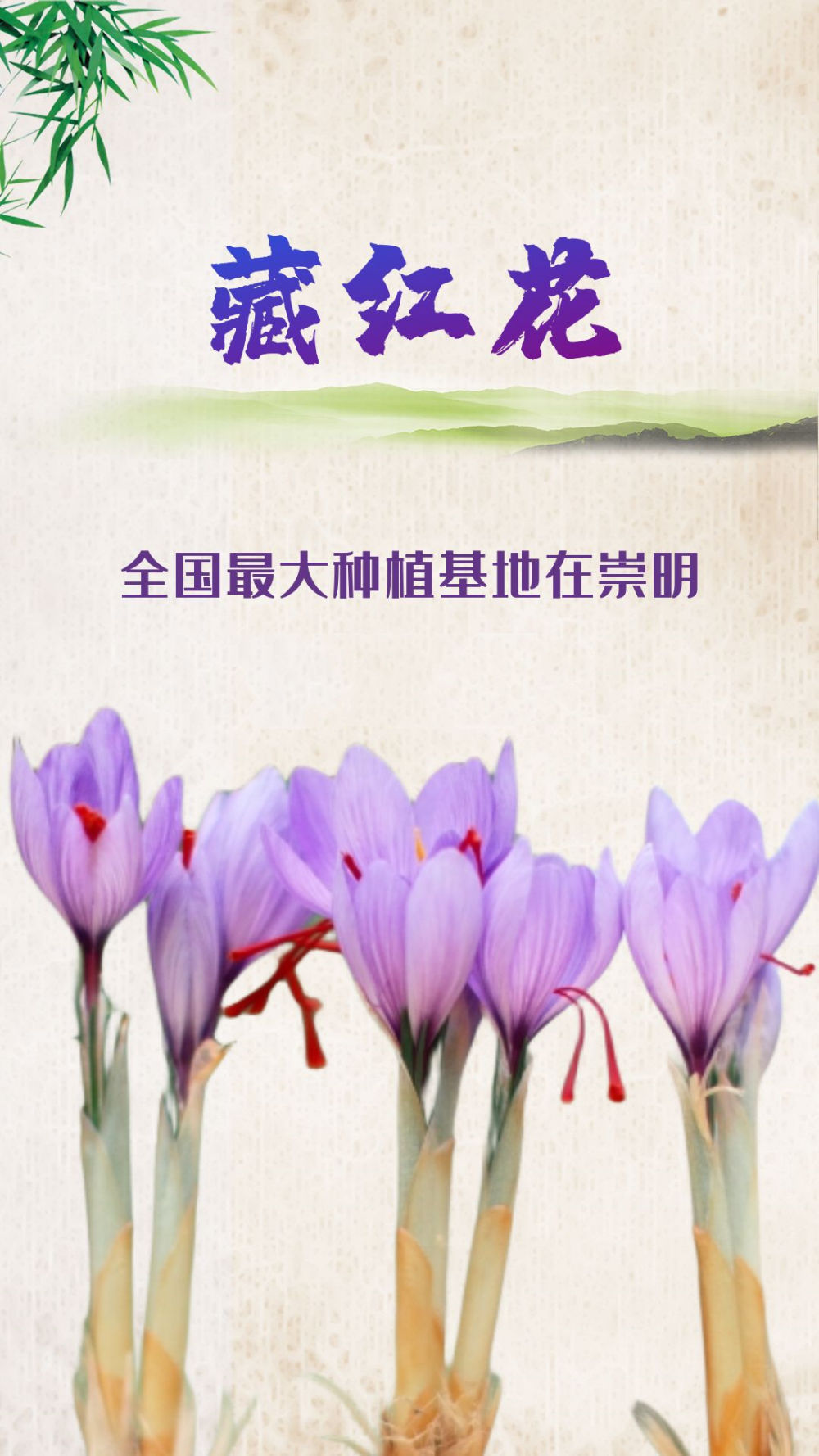 这些特产,让长三角小城站上世界舞台