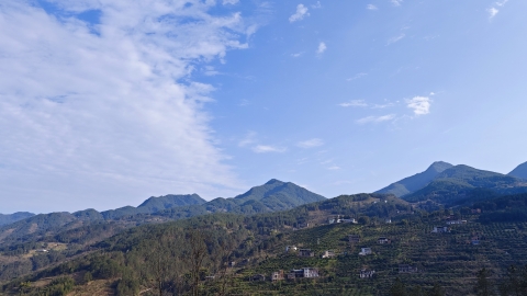 哈尔滨2024年12月19日天气预报 多云为主气温波动