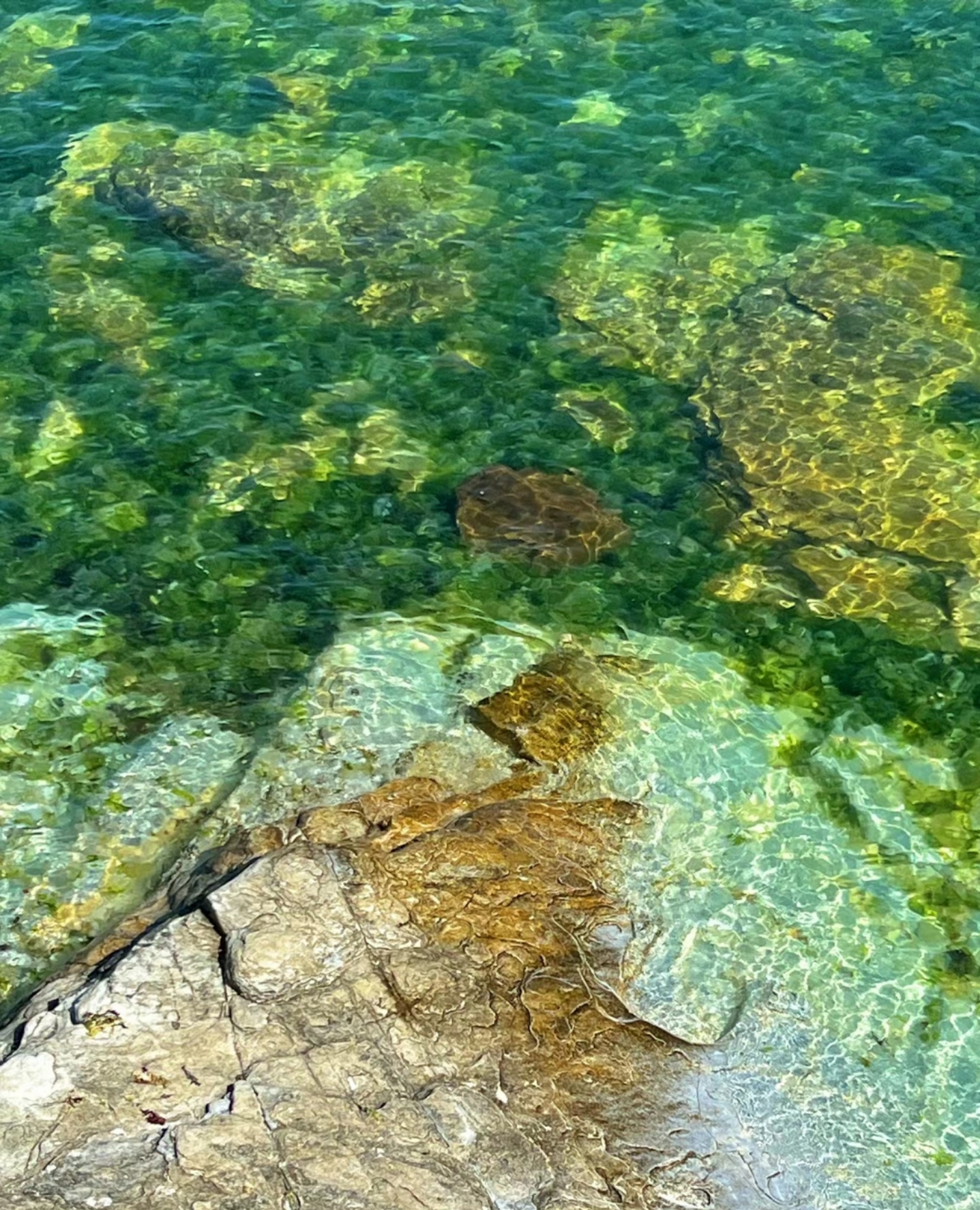 众悦-烟台养马岛05