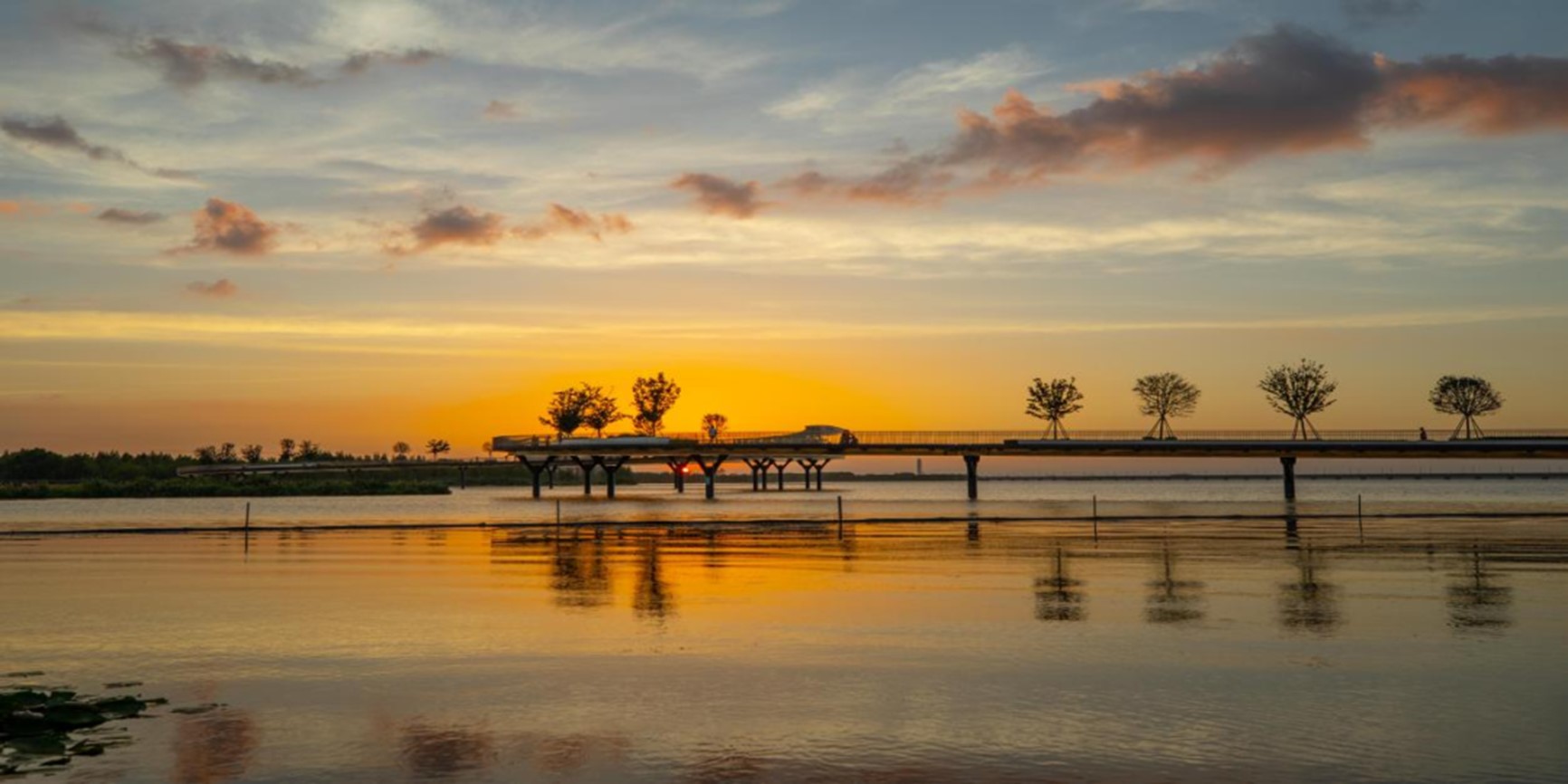 秋日“沪”水游丨青浦，江南秋日胜春朝