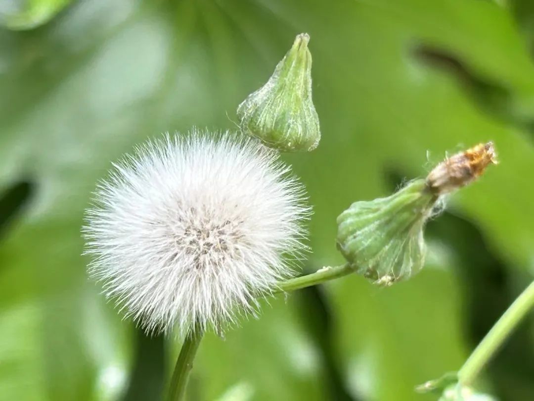 西安气象:今日最高气温突破35℃ 明后两天热力持续
