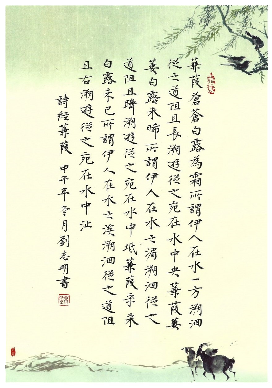 蒹葭苍苍,白露为霜。所谓伊人,在水一方。全诗意思及赏析 5 76