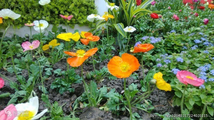 太子湾公园图片