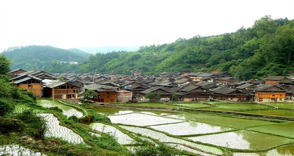 黎平天气预报30周