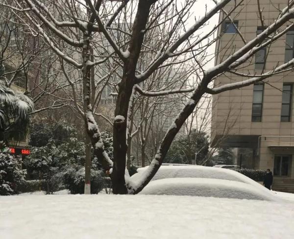 就在明天,正式进入!陕西发布重要天气报告,局地暴雪!