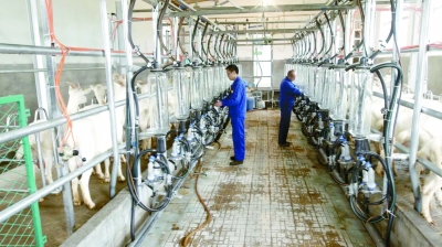 量身定制“脱贫菜单”——陕西省宝鸡市陇县脱贫攻坚纪实