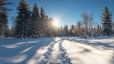 12月19日新疆内蒙古天气 新疆大风积雪内蒙古降雪降温
