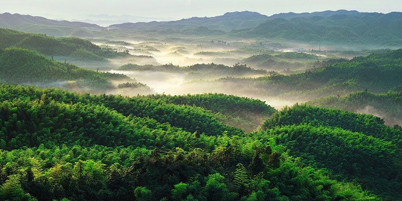 宜宾有什么好玩的地方?宜宾旅游十大必去景点!